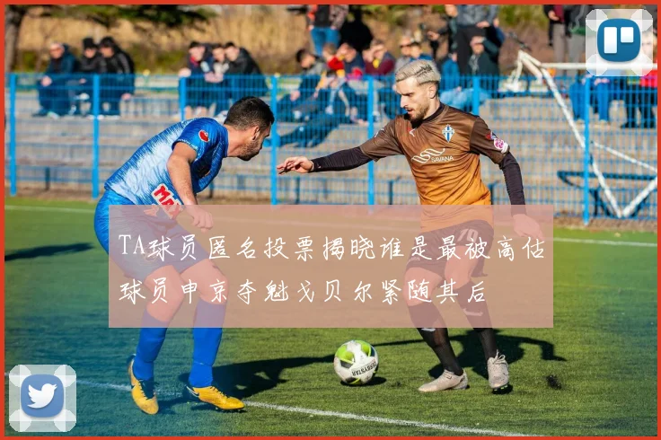 TA球员匿名投票揭晓谁是最被高估球员申京夺魁戈贝尔紧随其后