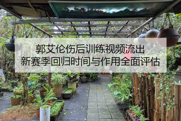 郭艾伦伤后训练视频流出 新赛季回归时间与作用全面评估